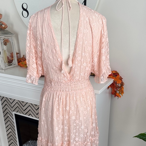 Chic Blush Lace Midi Dress - Picture 4 of 5